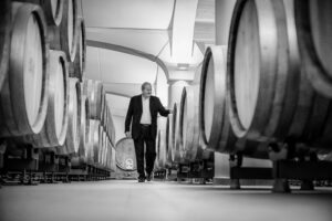 Umberto Cesari azienda vino call artistica bando concorso artistico Mostrami 4 per Umberto Cesari